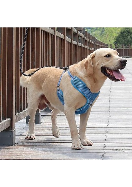 Göğüs Kayışı Yansıtıcı Patlama Geçirmez Polyester Evcil Köpek Çekiş Ipi Yürüme Için (Yurt Dışından)