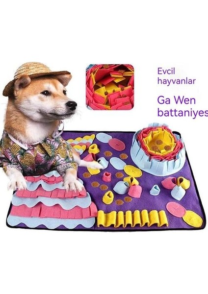 Atıştırmalık Bulmak Için Doğrudan Evcil Hayvanlar (Yurt Dışından)