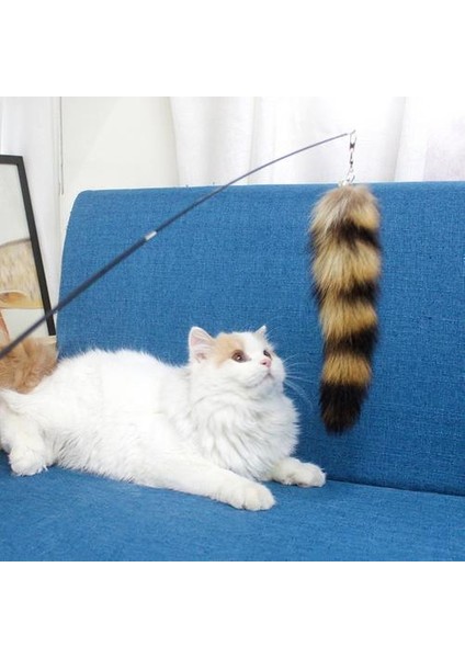 Kedi Çubuğu Oyuncakları - Siyah (Yurt Dışından) fırsatları