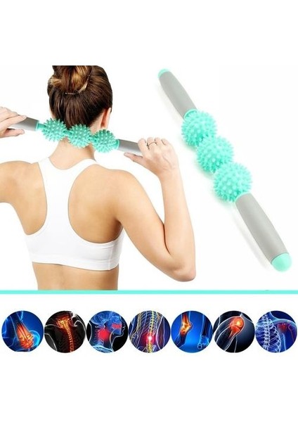 Çubuk Rulo Anti-Selülit Masajı (Yurt Dışından) fiyatları