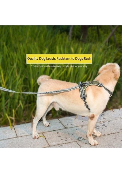 Ldlc QS-079 Yansıtıcı Naylon Geri Çekilebilir Elastik Köpek Emniyet Kemeri Yavru Araba Güvenlik Halat Yürüyüş Tasma Orta Büyük Pet - Sarı (Yurt Dışından) fiyatları