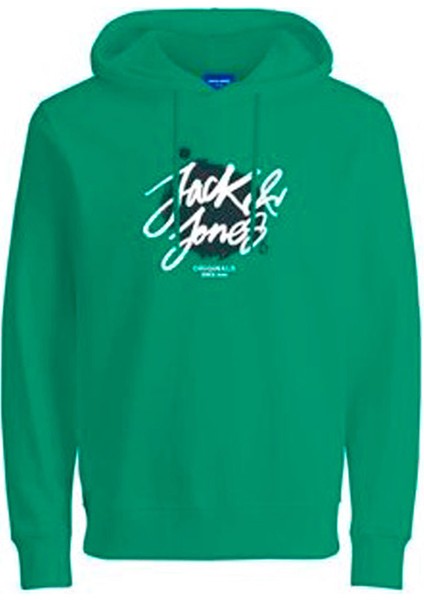 Yazılı Erkek Kapüşonlu Sweatshirt 12244218