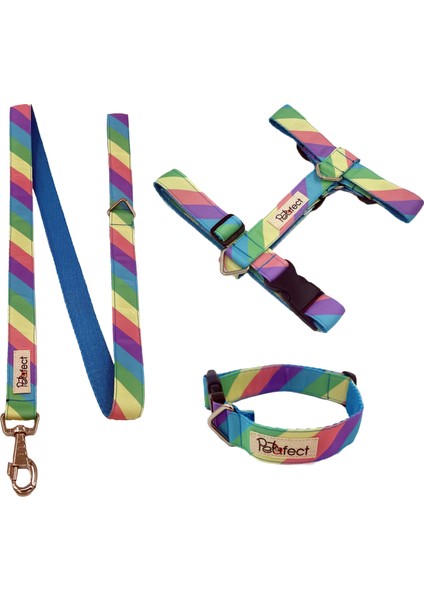 Rainbow H-Tipi Köpek Tasma Seti