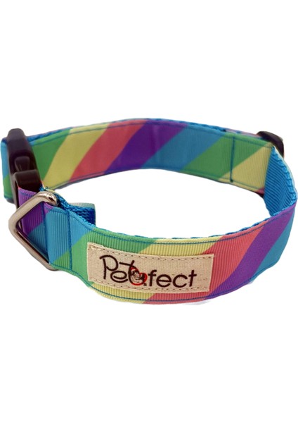 Rainbow H-Tipi Köpek Tasma Seti