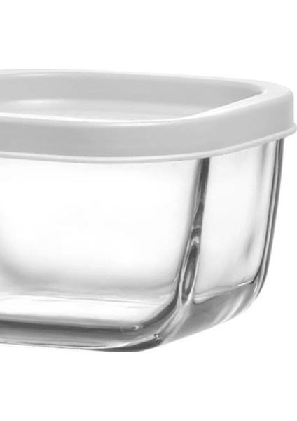Cub Kapaklı Saklama Kabı - 270 ml