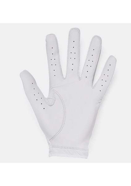 Erkek UA Serin Tutan Golf Eldiveni 1370277-100 fiyatları