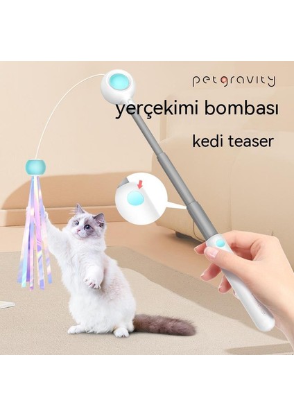 Evcil Hayvan Malzemeleri Komik Kedi Oyuncakları (Yurt Dışından) fiyatları