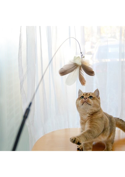 Evcil Hayvan Malzemeleri Komik Kedi Oyuncakları (Yurt Dışından) modelleri