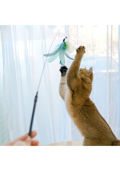 Evcil Hayvan Malzemeleri Komik Kedi Oyuncakları (Yurt Dışından) fırsatları