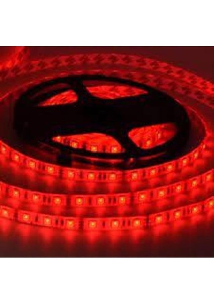 Şerit LED
