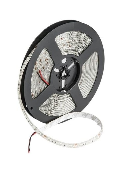 5 M 3 Çip Rgb Şerit LED Dış Mekan Ct 4534
