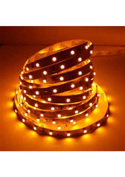 Şerit LED