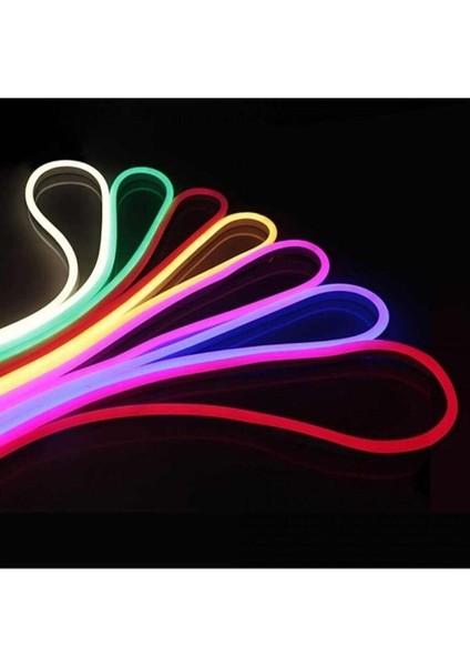 5mt Neon Hortum Esnek LED Işık Dış Mekan Günışığı fiyatları