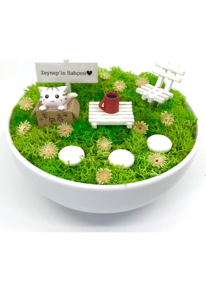 Kişiye Özel Kedili Hediye Teraryum 2 - Güneşli Bahçeler Serisi