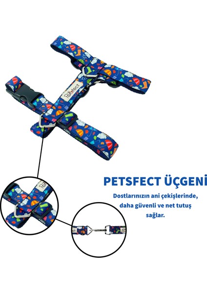 Fallin Blue H-Tipi Köpek Tasma Seti