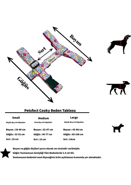 Cooky H-Tipi Köpek Tasma Seti