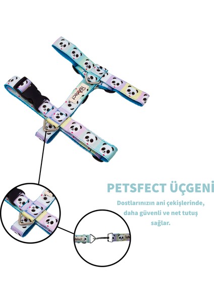 Perfect Pandas H-Tipi Köpek Tasma Seti