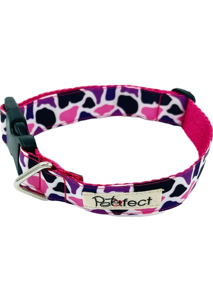 Fancy Force H-Tipi Köpek Tasma Seti