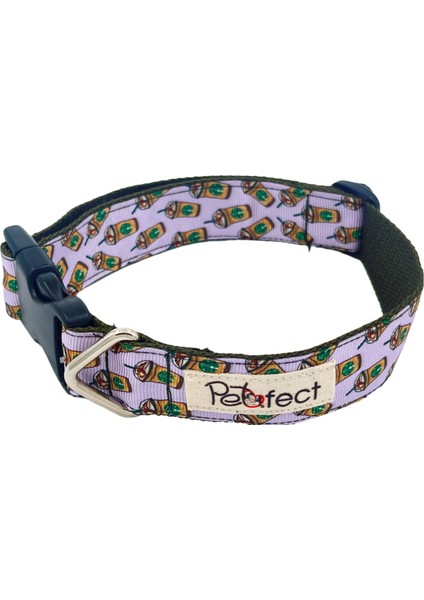 Stardog H-Tipi Köpek Tasma Seti