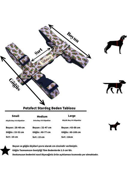 Stardog H-Tipi Köpek Tasma Seti