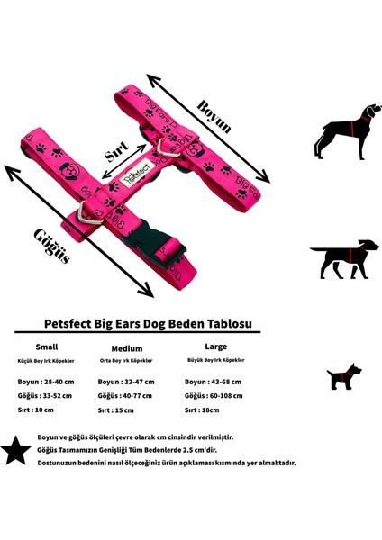 Big Ears H-Tipi Köpek Tasma Seti