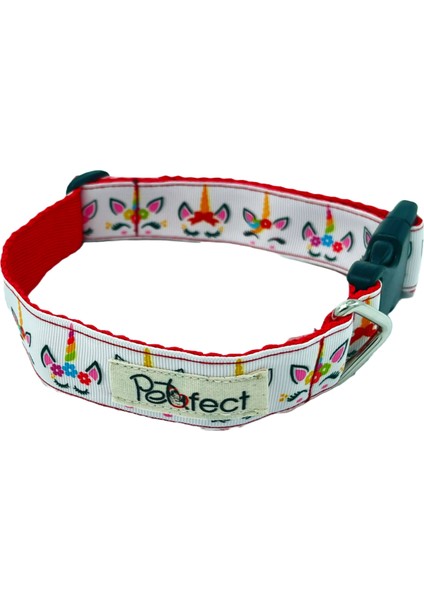 Mystic H-Tipi Köpek Tasma Seti