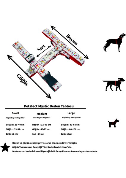 Mystic H-Tipi Köpek Tasma Seti