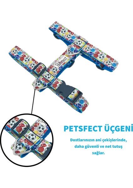 Dog Sport Plus H-Tipi Köpek Tasma Seti
