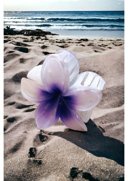 Çicek Model Büyük Boy 8 cm Parlak Mandal Toka fiyatları