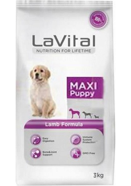 Maxi Puppy Lamb 3 kg