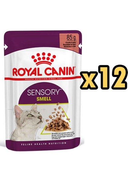 Sensory Smell Gravy 85 gr x 12 Adet