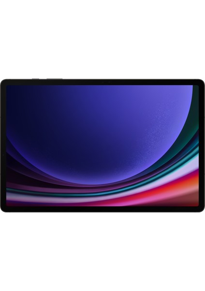 Galaxy Tab S9+ 12GB 256GB 12.4" Tablet - Gri