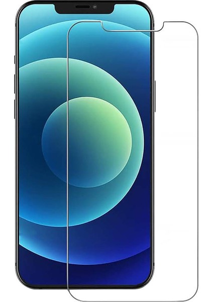 iPhone 12 ile Uyumlu Temperli Kırılmaz Cam Ekran Koruyucu - FC002
