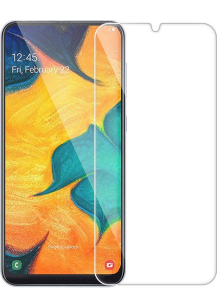 Samsung Galaxy A30 ile Uyumlu Temperli Kırılmaz Cam Ekran Koruyucu - FC002
