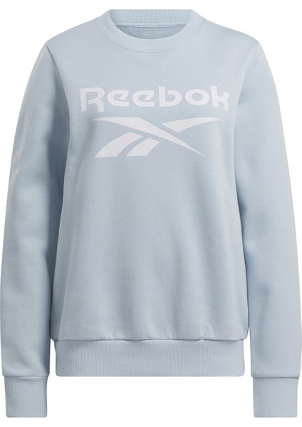 Id Bıg Logo Fleece Mavi Kadın Sweatshirt modelleri