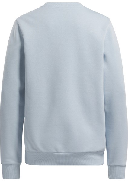 Id Bıg Logo Fleece Mavi Kadın Sweatshirt fırsatları