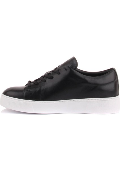 Sail Lakers - Siyah Deri Bağcıklı Erkek Sneaker