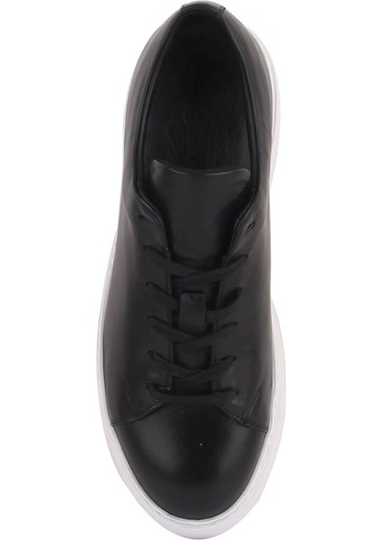 Sail Lakers - Siyah Deri Bağcıklı Erkek Sneaker