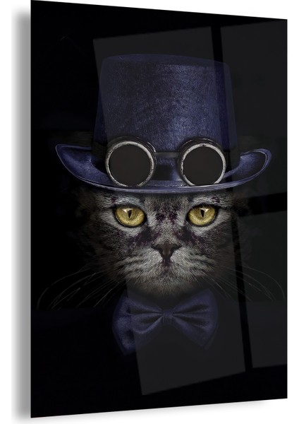 Kedi Cam Tablo fiyatları