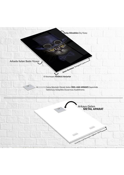 Kedi Cam Tablo fırsatları