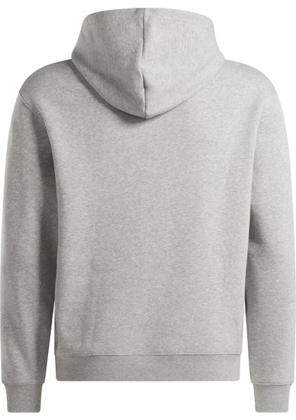 Archive Essentials Erkek Gri Kapüşonlu Sweatshirt indirimleri