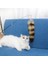 Kedi Çubuğu Oyuncakları - Siyah (Yurt Dışından) 2