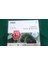 DVD Rw 689906 1