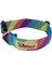 Rainbow H-Tipi Köpek Tasma Seti 4