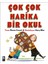 Çok Çok Harika Bir Okul - Sharon Creech 1