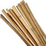 Nettenevime Bambu Sopası 240 cm 18-20MM Bambu Çubuğu 5 Adet