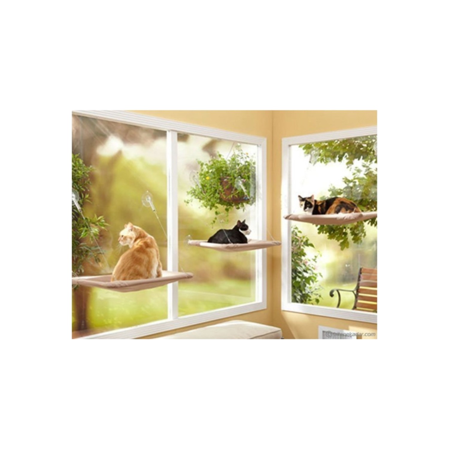 arsimo cama asilan kedi yatagi fiyati taksit secenekleri