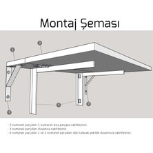 Scorplion Duvara Monte Monteli Katlanır Masa