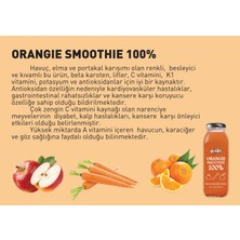 Fruit Drops  Orangie Smoothie 250 ml