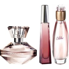 Avon Luminata 50 ml Edp + Surrender 50 ml Edt + Celebre 50 ml Edt Kadın Parfüm Seti